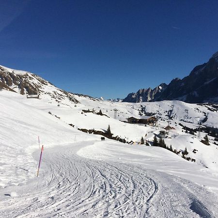 شقة Grindelwald-Sunneblick المظهر الخارجي الصورة
