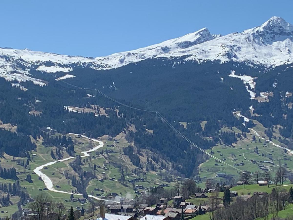 شقة Grindelwald-Sunneblick المظهر الخارجي الصورة