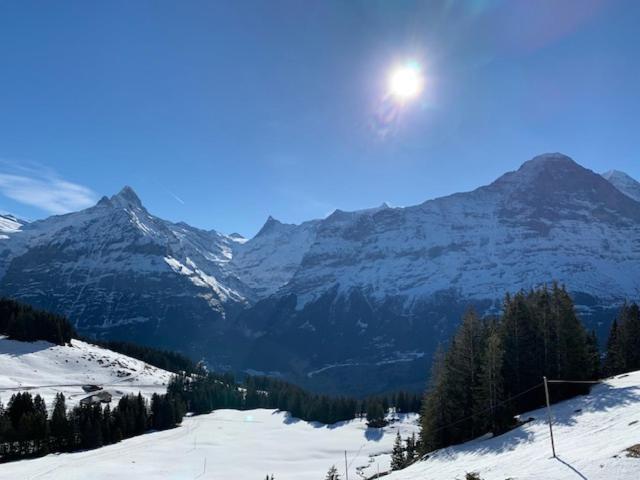 شقة Grindelwald-Sunneblick المظهر الخارجي الصورة